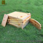 Langstroth Auto flow honey plastic bee hive frame for flow hive
