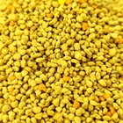 China Bee Pollen Granules- 100% Pure Fresh Raw Bee Pollen Rapeseed Sweet Pollen
