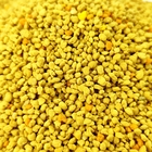 China Bee Pollen Granules- 100% Pure Fresh Raw Bee Pollen Rapeseed Sweet Pollen